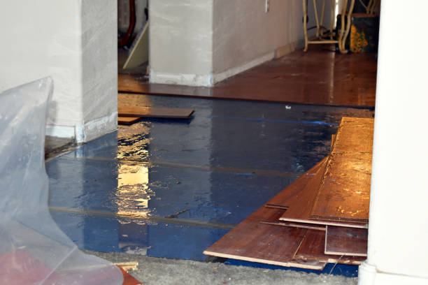 Professional Burst Pipe Cleanup technician working in Frankfort, ME